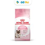 royal-canin-mother-babycat-go-pet