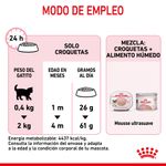 guia-de-alimentacion-royal-mother-cat