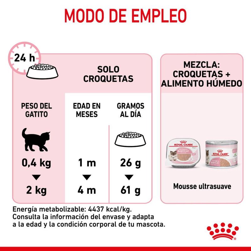 guia-de-alimentacion-royal-mother-cat
