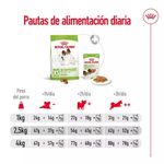 guia-de-alimentacion-x-small