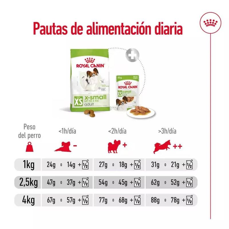 guia-de-alimentacion-x-small