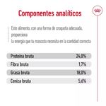 componentes-xs-small