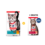 Hills SD Feline Adulto Indoor 7 kg - Adulto de Interiores +  GRATIS Hills SD Feline Adult Salmon 1,6 Kg - Gato Adulto - Salmon
