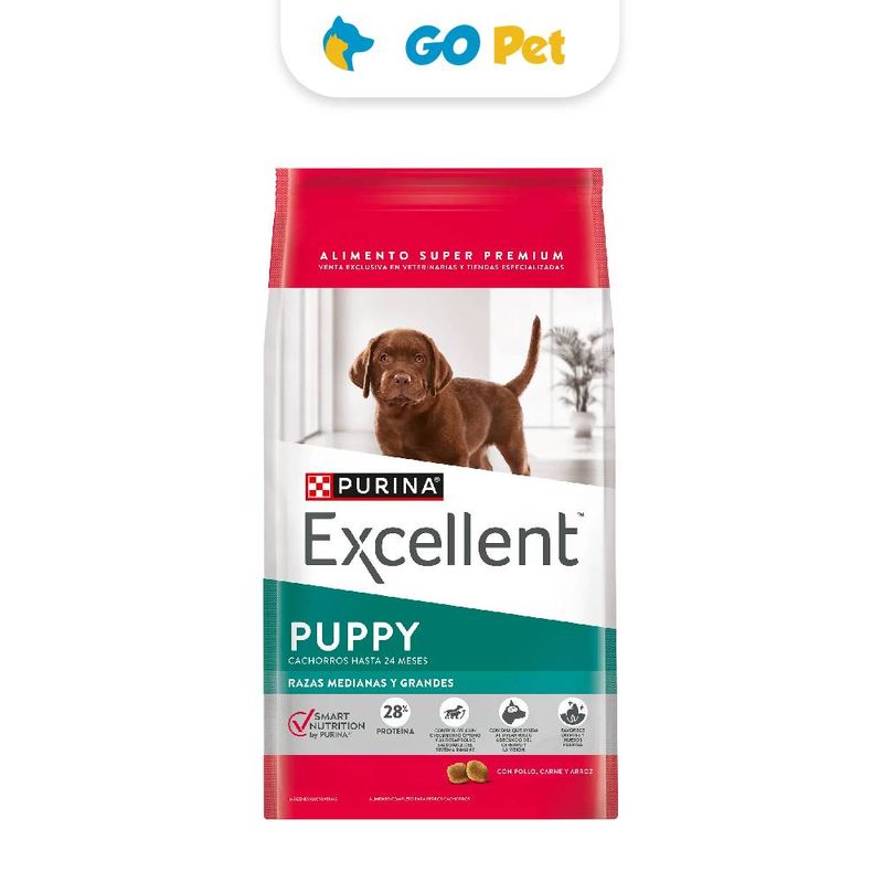 excellent-cachorro-razas-medianas-y-grandes-go-pet