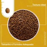 formula-natural-gato-senior-pellets