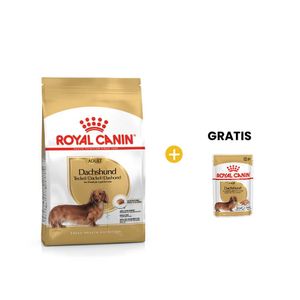 Royal Canin BHN Dachshund Adult 1.5 Kg - Adulto Teckel/Salchicha