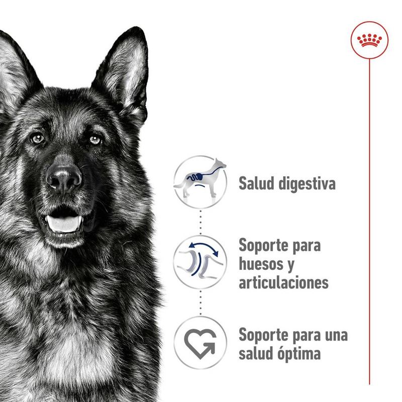 Royal Canin Expert Neutered Adult natvoer hond (in saus
